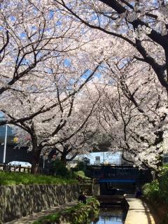 臨時休業のお知らせ